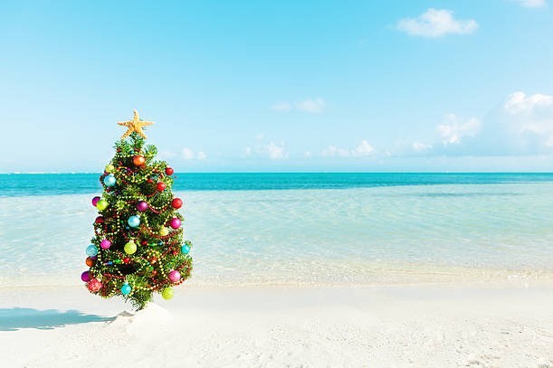 Beautiful Christmas tree on the beach