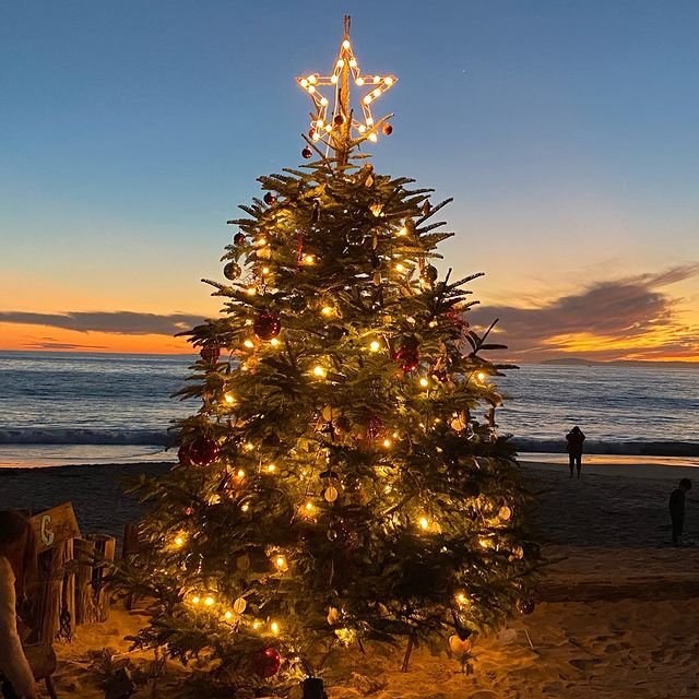 Glowing Christmas tree on the beach