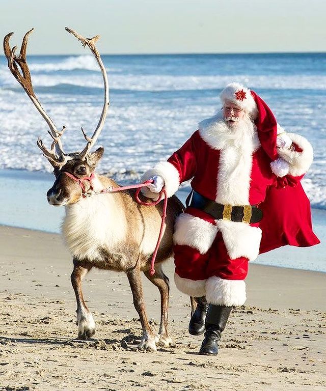 Santa and deer on the beach