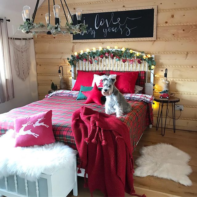 Christmas bed and dog