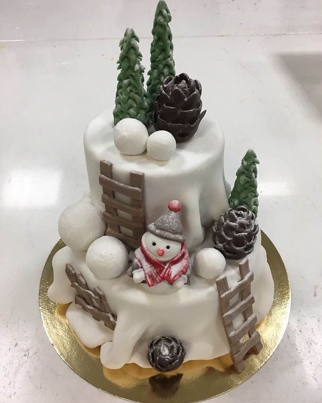 Children's Christmas cake