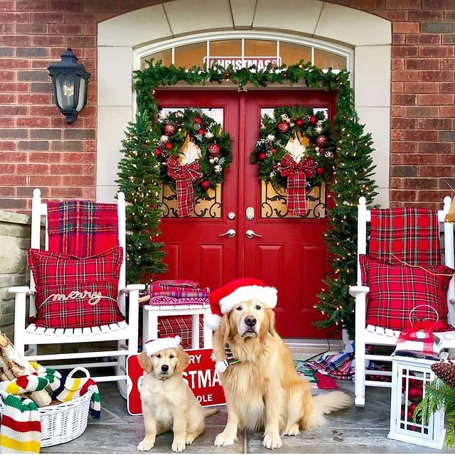 Christmas door with dogs