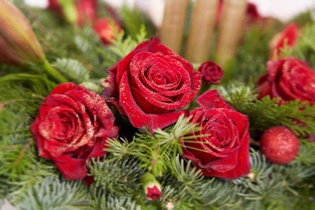 Red Christmas flowers