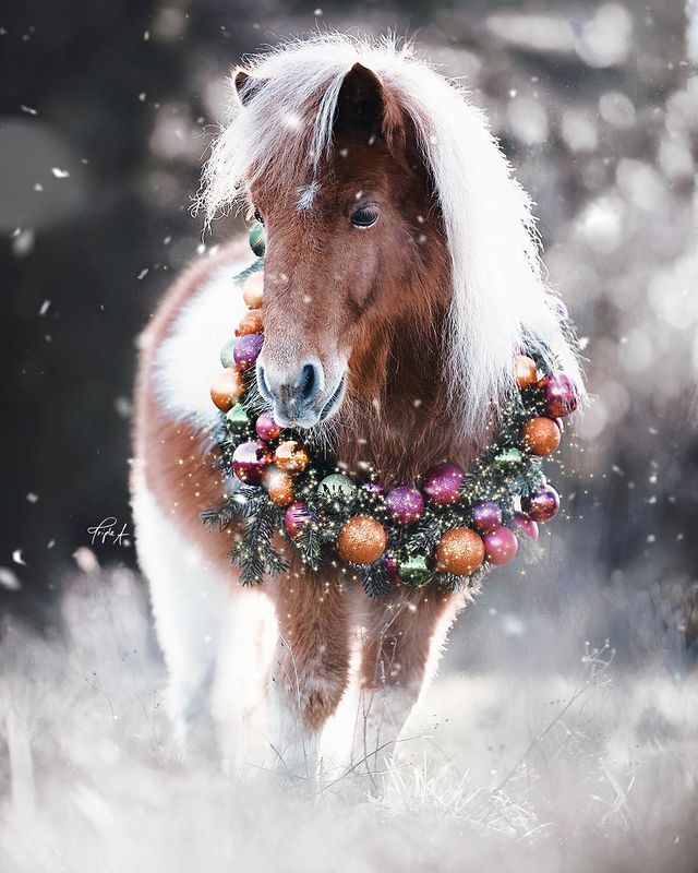 Christmas horse with a wreath