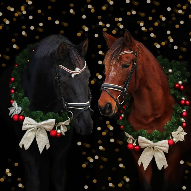 Christmas beautiful horses