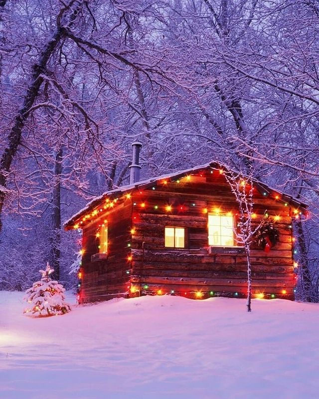 House and Christmas tree with lights