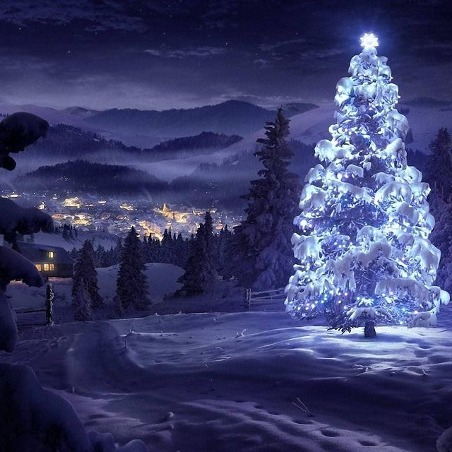 Christmas night in nature