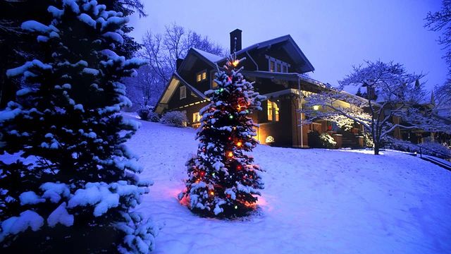 Christmas snow tree