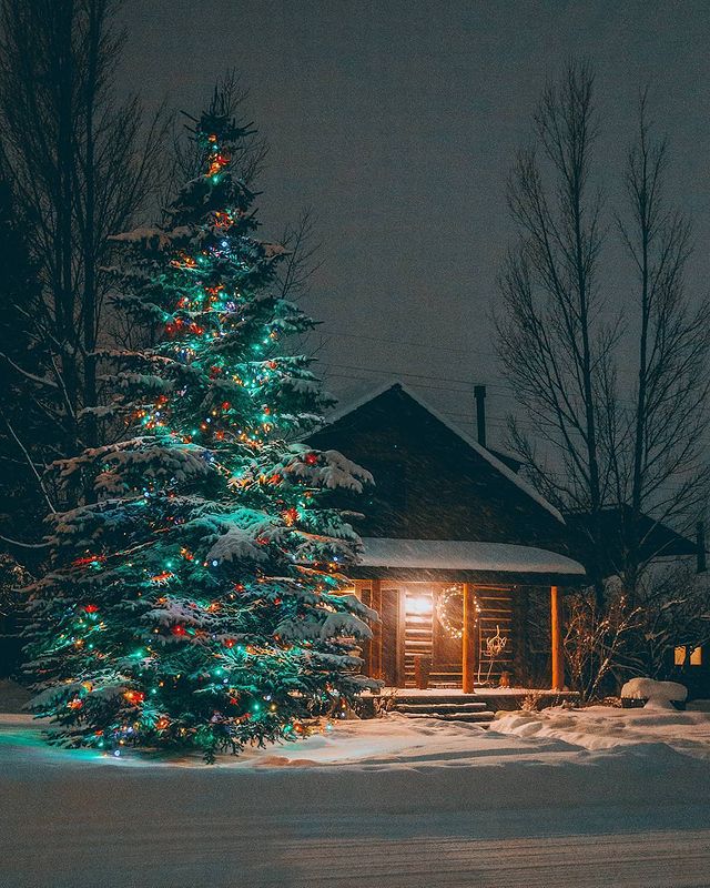 Christmas tree and house