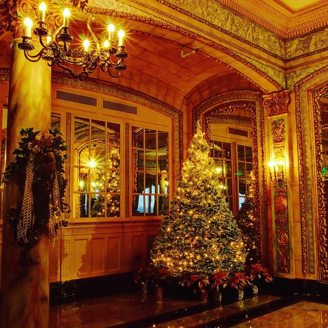 Room with a large Christmas tree